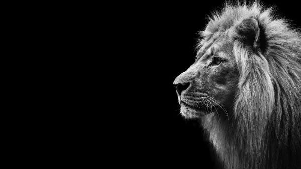the-secret-of-aslan-5f817f06ad353467c35f0b41168f0aaf
